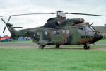 S-453, Eurocopter AS532U2 Cougar, Koninklijke Luchtmacht, Helicopter, Royal Netherlands Air Force, Dutch, Holland