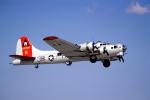 B-17 Flyingfortress, tailwheel