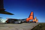 70492, Lockheed C-130A Hercules, Namamo RCAF, Canada, Ski Gear, skibird
