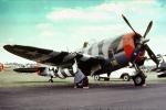 Republic P-47 Thunderbolt, D-Day Stripes, Invasion Markings, MYFV25P01_06