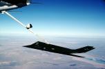 Lockheed F-117A Stealth Fighter, Air-to-Air, milestone of flight, MYFV25P02_11