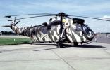 SFOR, Zebra Stripes, Sea King helicopter