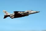 airborne, flight, flying, Jaguar fighter jet, aircraft, airplane, aviation
