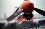Red Nose Tiger Jaws, Curtiss P-40 Warhawk, MYFV26P09_03