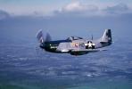 Petie, air-to-air, P-51D