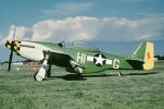 HI-G, P-51D, tailwheel, MYFV26P10_07