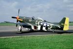 463221, P-51D, Moose, D-Day Invasion Stripes, Identification Markings, MYFV26P11_01