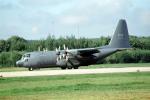 130325, CC-130E Lockheed Hercules, RCAF, MYFV28P07_13