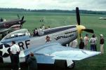 P-51D Six Shooter, D-Day Invasion Stripes, Identification Markings