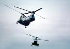 Operation Kernel Blitz, Boeing CH-46 Sea Knight, urban warfare training, MYMV02P05_19