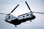 7724, 10, Operation Kernel Blitz, Boeing CH-46 Sea Knight, urban warfare training, MYMV02P06_01