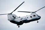 7724, 10, YJ, Boeing CH-46 Sea Knight, urban warfare training, Operation Kernel Blitz, MYMV02P06_02