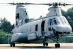 Operation Kernel Blitz, Boeing CH-46 Sea Knight, urban warfare training, MYMV03P02_18B