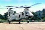Boeing CH-46 Sea Knight, Operation Kernel Blitz, urban warfare training, MYMV03P03_02