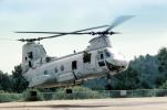 Taking-off, Operation Kernel Blitz, Boeing CH-46 Sea Knight, urban warfare training, MYMV03P03_03