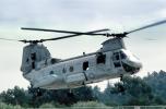 Operation Kernel Blitz, Boeing CH-46 Sea Knight, urban warfare training, MYMV03P03_04