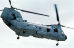 Operation Kernel Blitz, Boeing CH-46 Sea Knight, urban warfare training, MYMV03P03_07