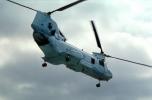 Operation Kernel Blitz, Boeing CH-46 Sea Knight, urban warfare training, MYMV03P03_08