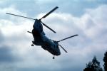 Operation Kernel Blitz, Boeing CH-46 Sea Knight, urban warfare training, MYMV03P03_09