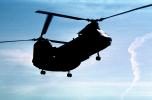 Operation Kernel Blitz, Boeing CH-46 Sea Knight, urban warfare training, MYMV03P03_11