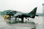 AV-8B Harrier, trainer, MYMV05P01_17