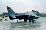 ZD486, AV-8B Harrier