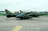 AV-8B Harrier, MYMV05P03_10
