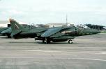 AV-8B Harrier, MYMV05P03_19