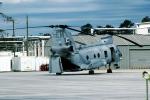 Boeing CH-46 Sea Knight, MYMV05P05_05