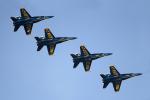 Blue Angels, formation flight, MYND01_265