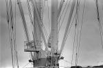 Cranes, Transport Ship, MYNPCD2931_007