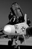 667, Grumman F-14 Tomcat, 7 June 1981