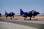 A-4 Skyhawk, Blue Angels, Number-1, Number-2