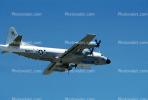 162771, Lockheed P-3 Orion, USN, United States Navy, 16-2771, flight, flying, airborne