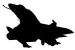 A-4 Skyhawk silhouette, logo, shape, MYNV04P03_16M