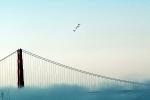 Golden Gate Bridge, Blue Angels, McDonnell Douglas F-18 Hornet, MYNV04P07_13