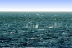 Armament Splashes in the Pacific Ocean, June 3 1991