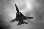 Grumman F-14 Tomcat Landing, Tailhook Extended