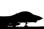 Grumman F-14 Tomcat silhouette, logo, shape, MYNV06P05_01M