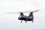 Boeing CH-46 Sea Knight 65, 2495, airborne, flight, hover, HC-11, MYNV06P08_07