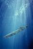U-boat Underwater, MYNV07P15_08