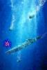 depth charge, U-boat Underwater, MYNV07P15_11