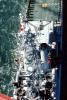 HMCS Annapolis, (FF-256), Annapolis class, Royal Canadian Navy, Canada, ship, vessel, hull, warship, MYNV08P13_19