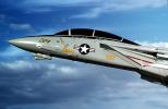 Grumman F-14 Tomcat, USN, United States Navy