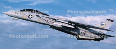 Grumman F-14 Tomcat, USN, United States Navy, Panorama, milestone of flight