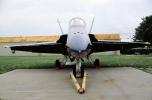 McDonnell Douglas F-18 Hornet, Blue Angels, head-on, MYNV12P01_16