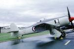 Hawker Sea Fury FB MkSaint11, MYNV12P08_06