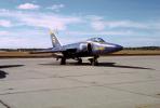 Grumman F-11 Tiger, Blue Angels, Number-6, MYNV12P12_02.0360
