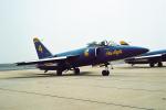 F-11A, Blue Angels, Number-4, MYNV12P12_12.3130