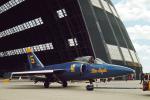 F-11A, Blue Angels, Number-5, MYNV12P12_13.3130